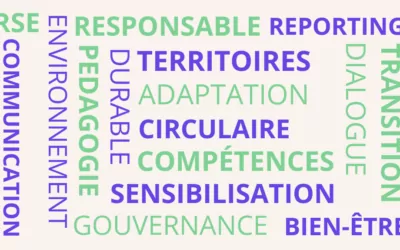 Comprendre et anticiper la Directive CSRD, les normes ESRS et le reporting de durabilité. 