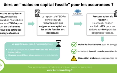 Bientôt un “malus en capital fossile” pour les organismes d’assurance ?