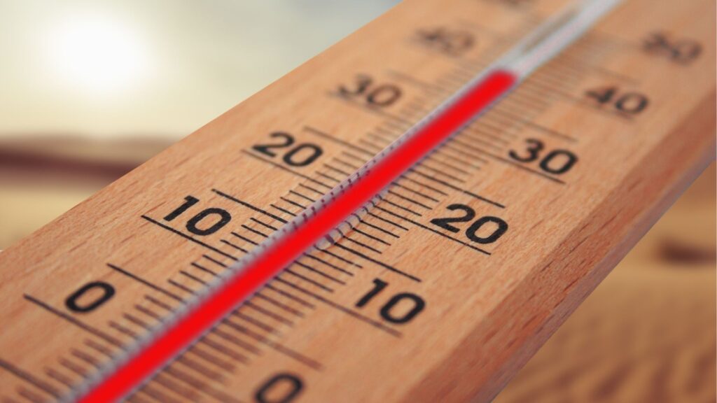 assurance et canicule